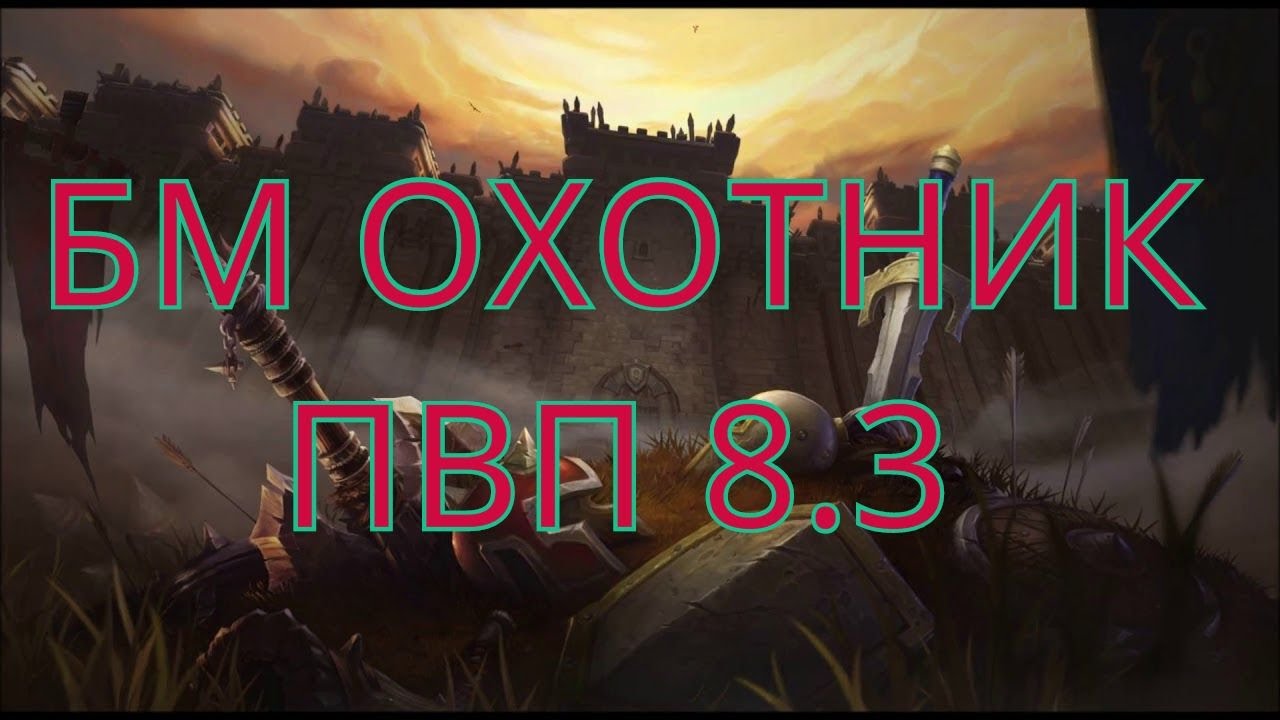 Гайд БМ хант ПВП. 8.3.