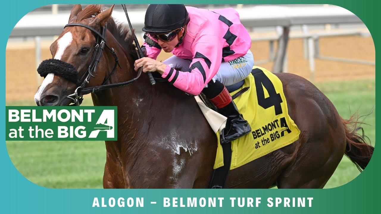 Алогон - 2025 - Belmont Turf Sprint