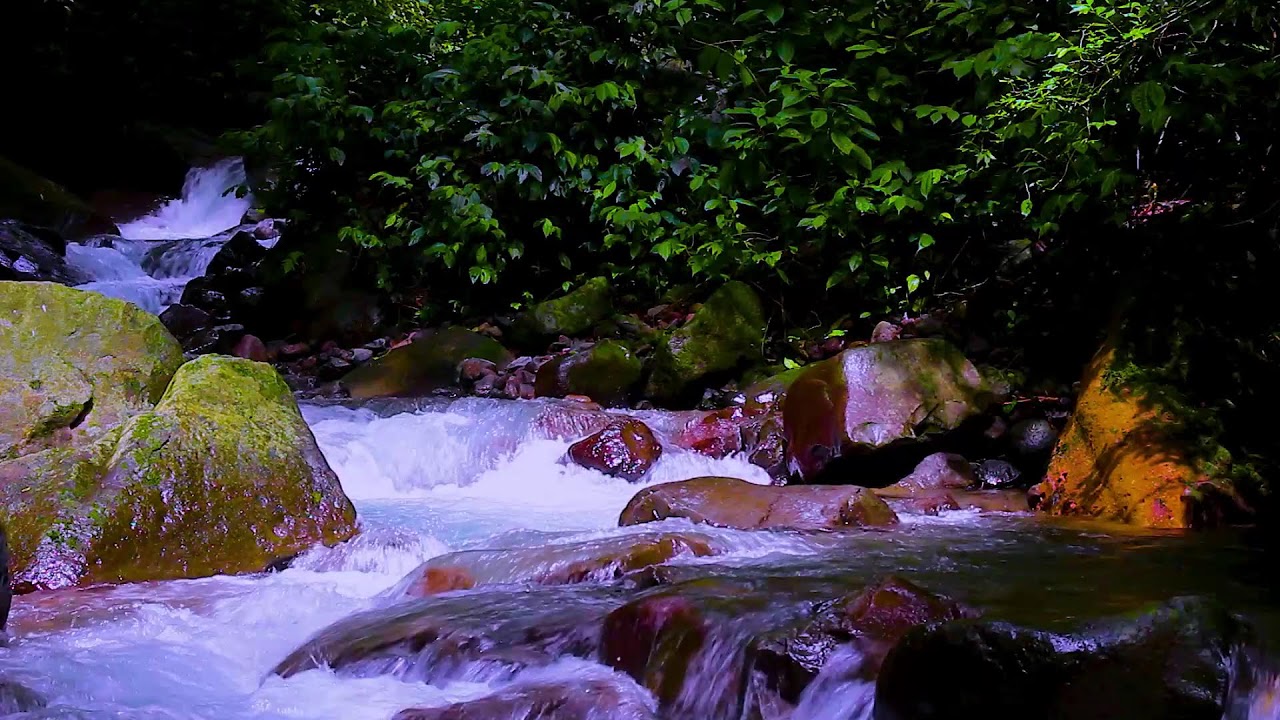 Mountain River Flowing Sounds to Improve Focus and Reduce Mental Noise
