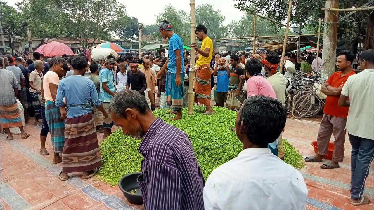 আজ মরিচের বাজার এলোমেলো আবারো বাজার নিম্নমুখী তিলকপুর ১৬/০৭/২০২৫ রোজ বুধবার #বাজারে #মরিচ #food