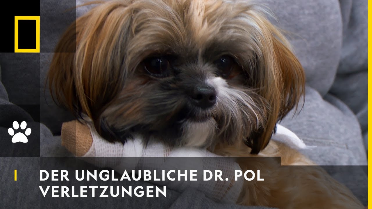 DER UNGLAUBLICHE DR. POL - Verletzungen | National Geographic