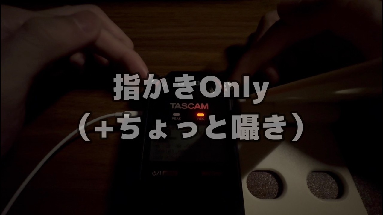 【ASMR】後悔させません。【指かき/ささやき/TASCAM】