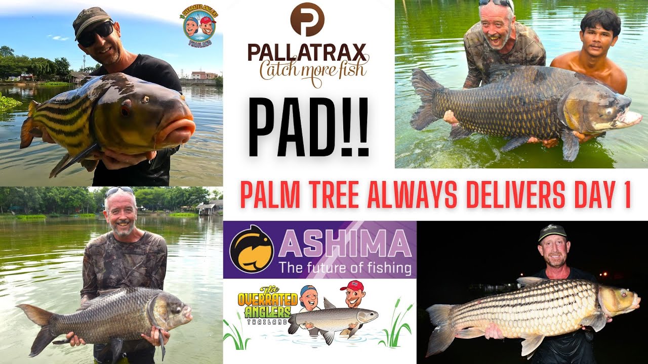The Overrated Anglers Thailand - PTL - Juliens carp and the Warrior for Ozwaldo on day one of three.