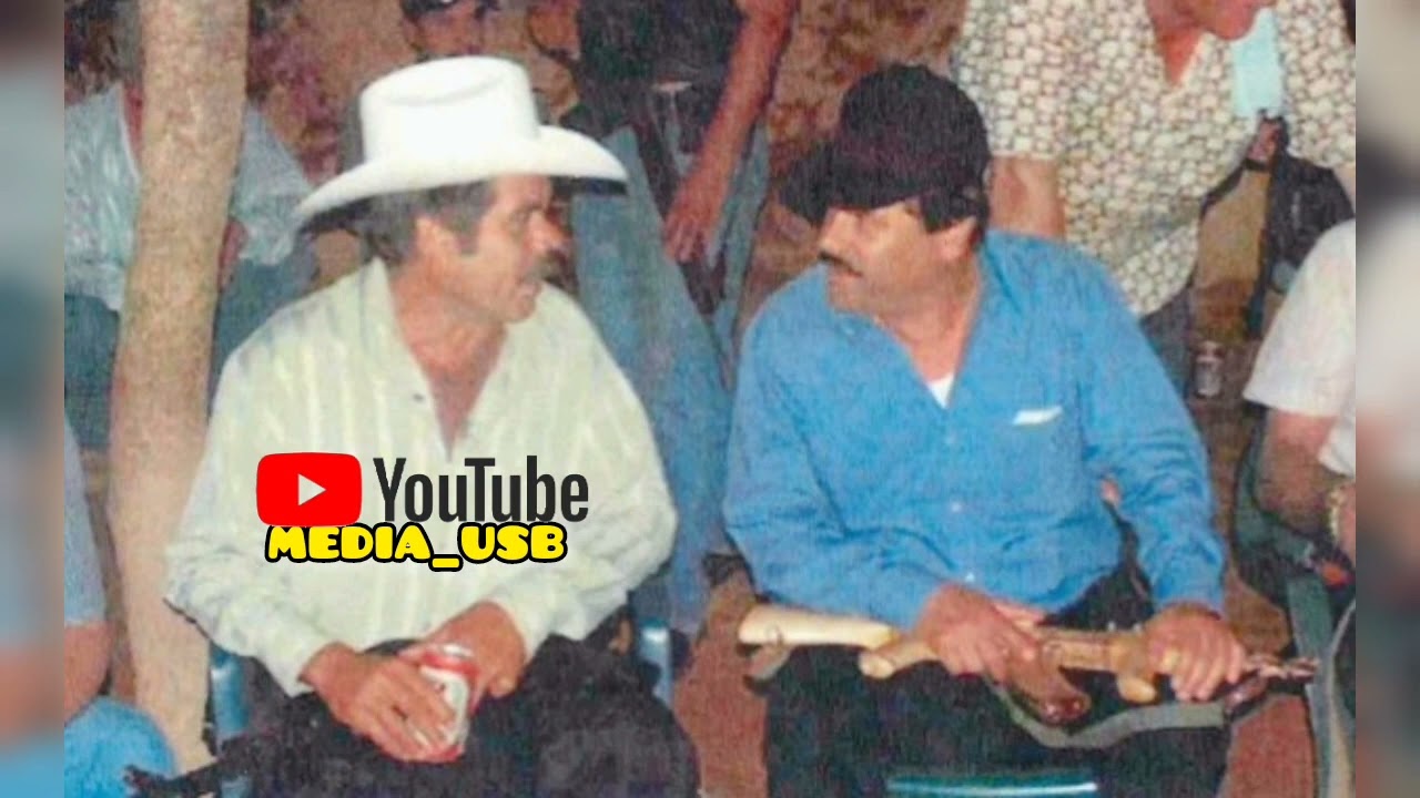 Comando De Sinaloa- Bolsas De Tiro en vivo