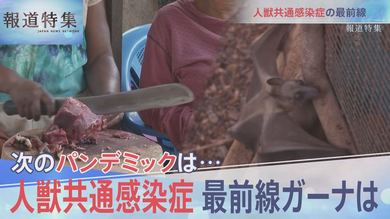 「人獣共通感染症」最前線・ガーナを取材　【報道特集】