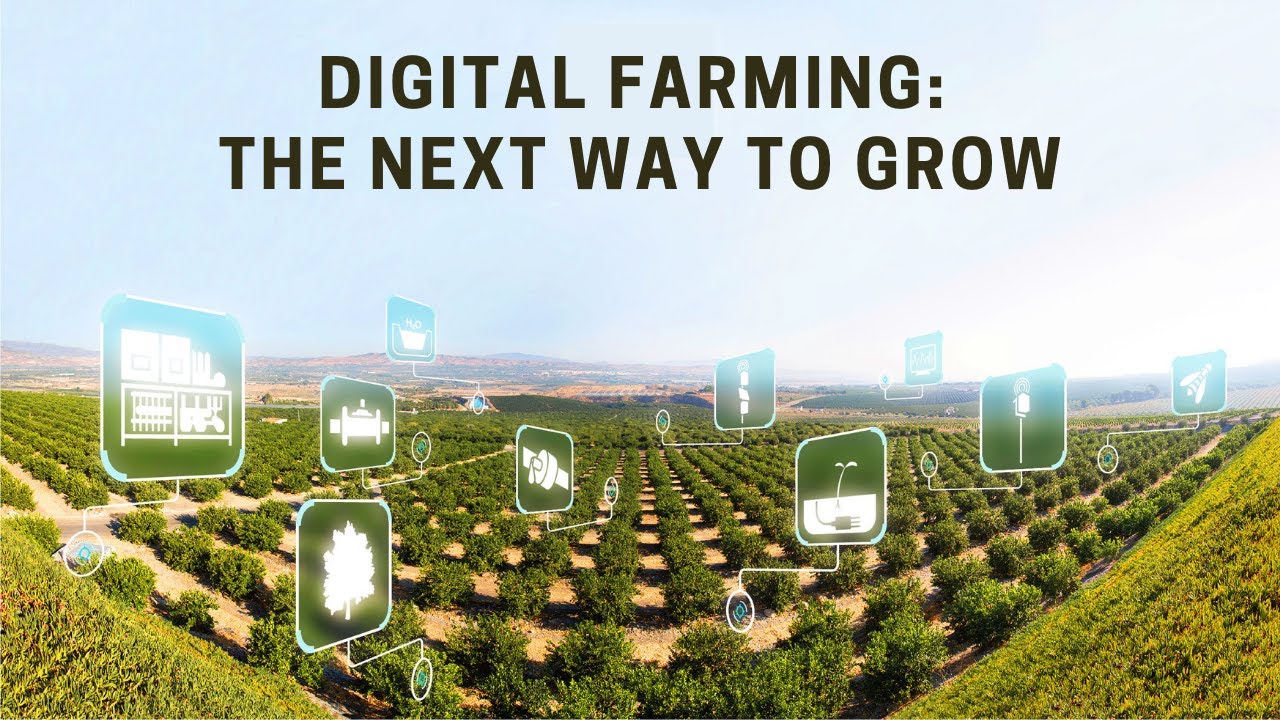 Digital Farming – Interview to an expert