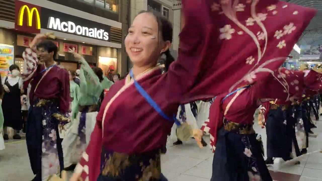 【よさこい祭り2022】早稲田大学よさこいチーム　東京花火