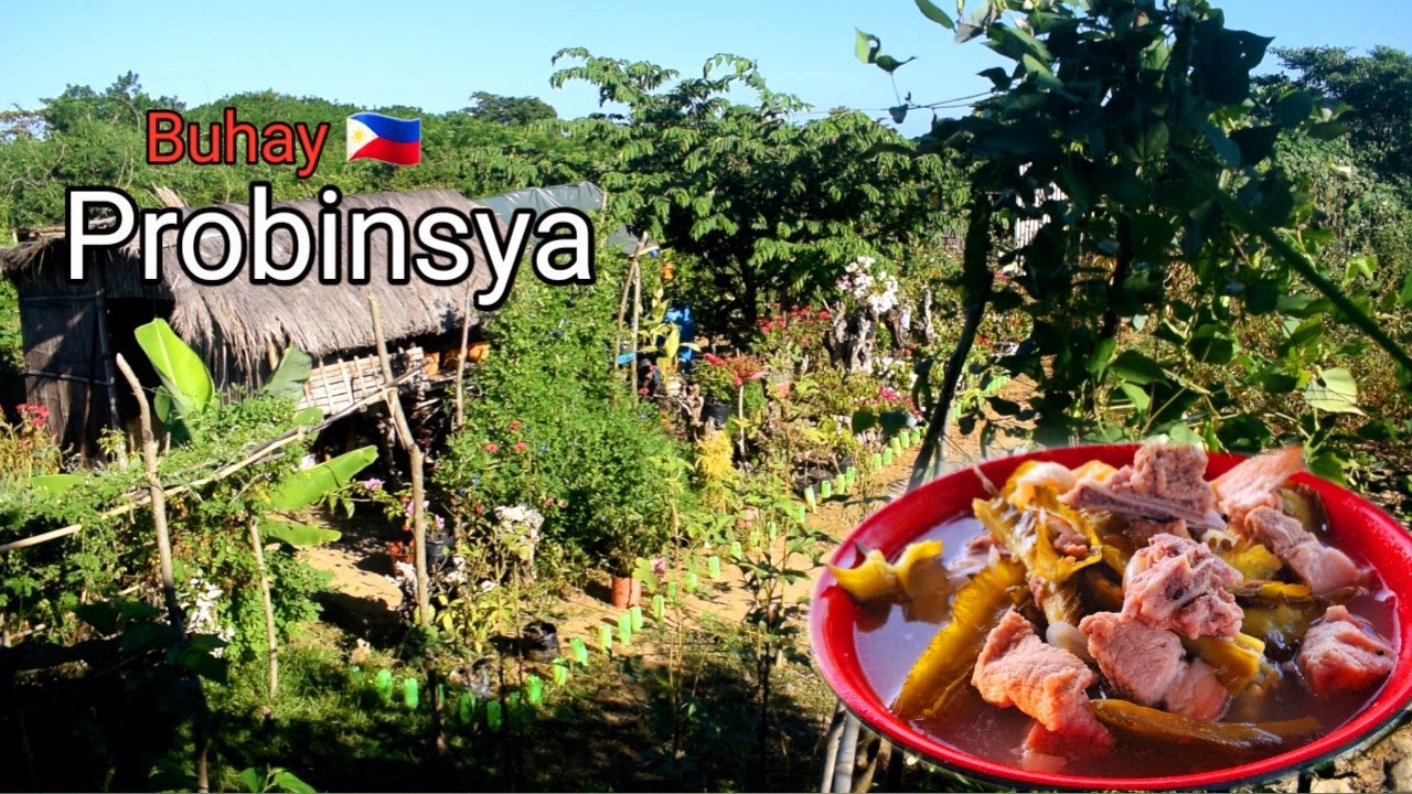 Life in the countryside | Planting peppers and tomatoes | Cook for the family | Biag ti away