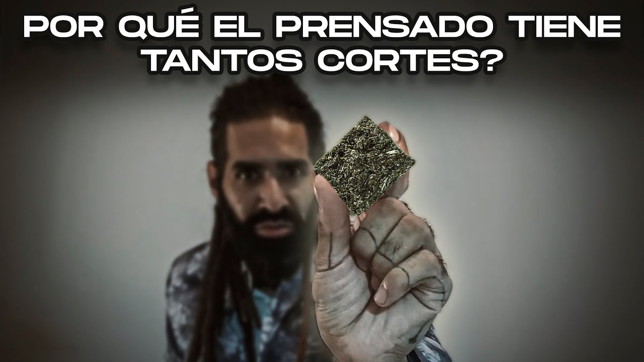 El PRENSADO vale la pena cuando NO HAY FLORES?