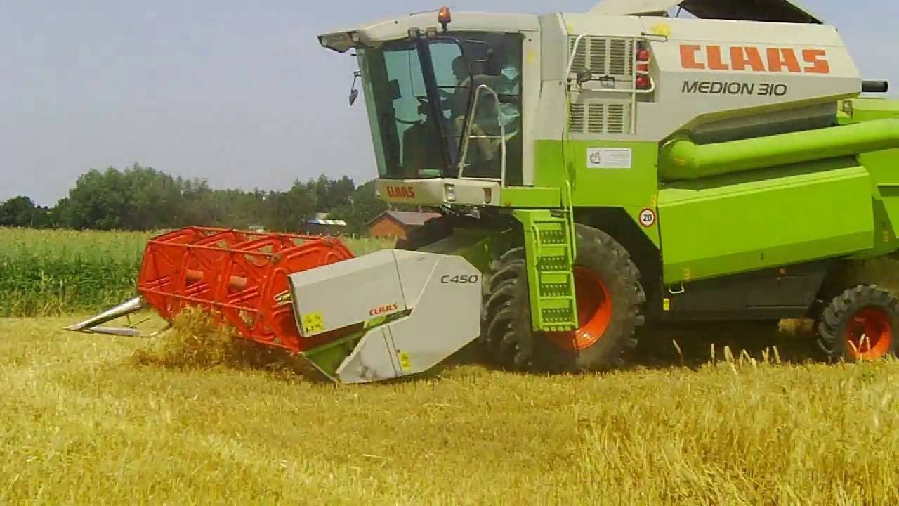 Żniwa 2012 - Jęczmień Ozimy & Claas Medion 310 / Ursus 1002 * c-385