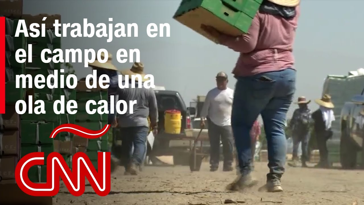 Estas medidas te pueden ayudar a trabajar seguro en medio de la ola de calor