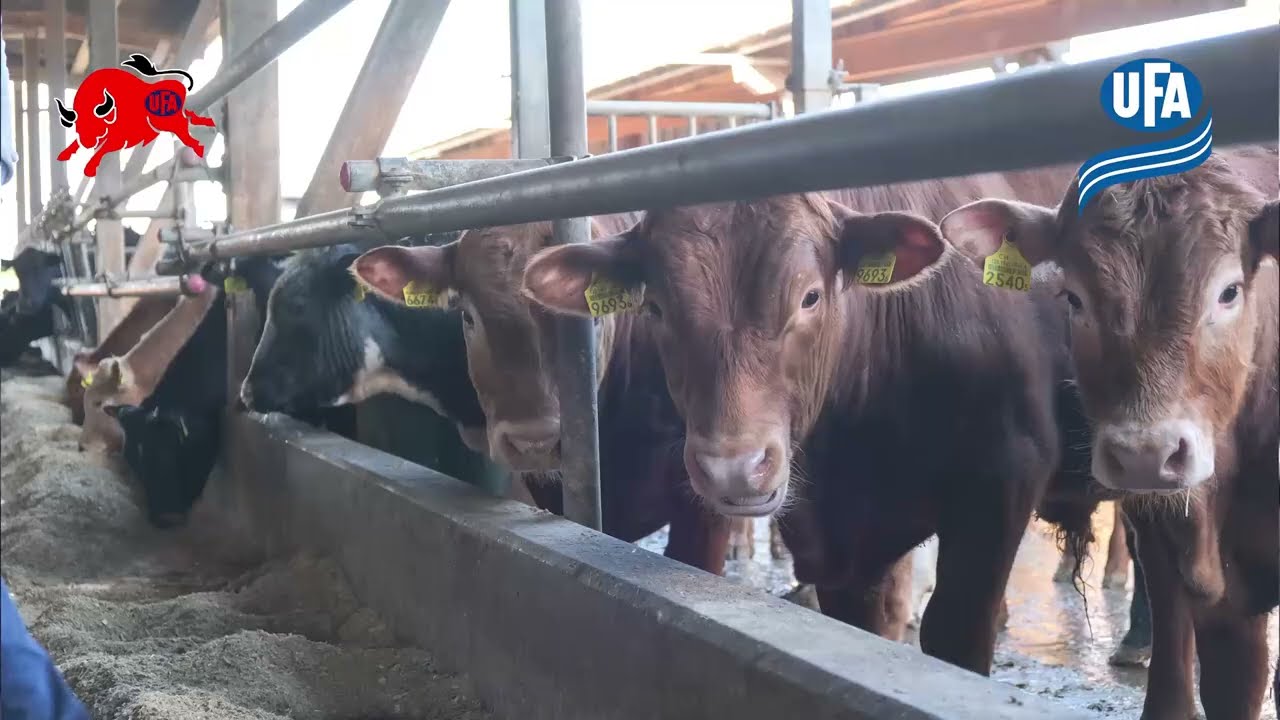 Rückblick TORO Tagung 2025