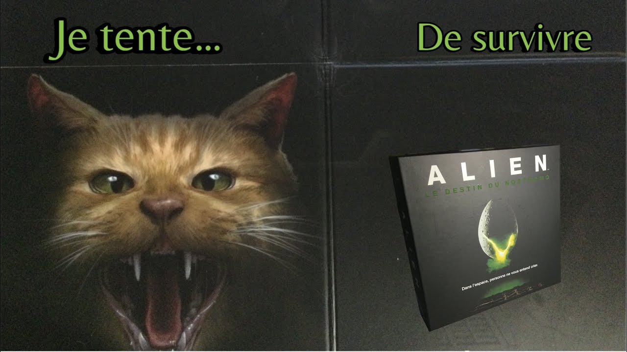 On essaie d'échapper à l'alien dans Alien le destin du Nostromo