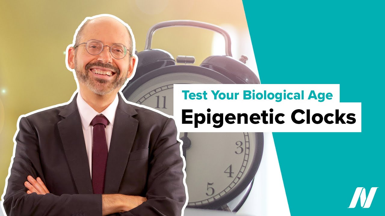 Epigenetic Clocks for Testing Your Biological Age