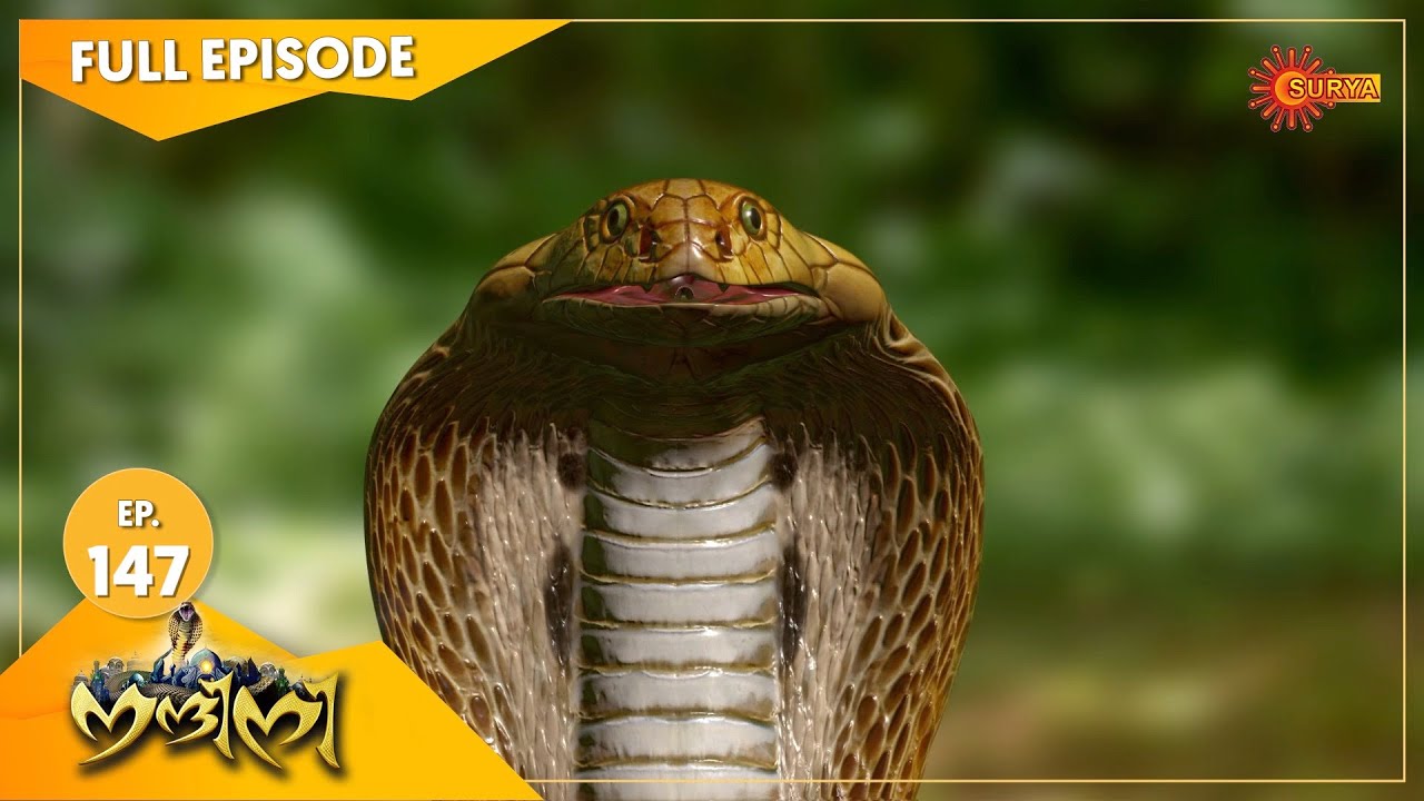 Nandini - Episode 147 | Digital Re-release | Surya TV Serial | Super Hit Malayalam Serial