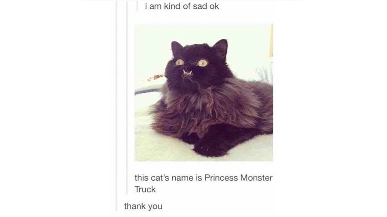 Tumblr Posts - Episode 25
