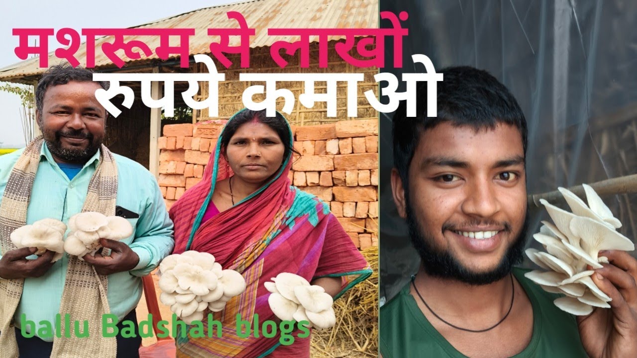 Mashroom se lakho rupaye kamao, Ballu Badshah blogs, mashroom video 