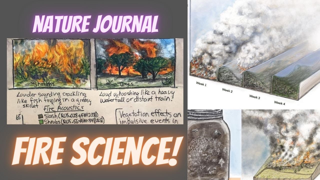 Nature Journaling Fire with Miriam Morrill