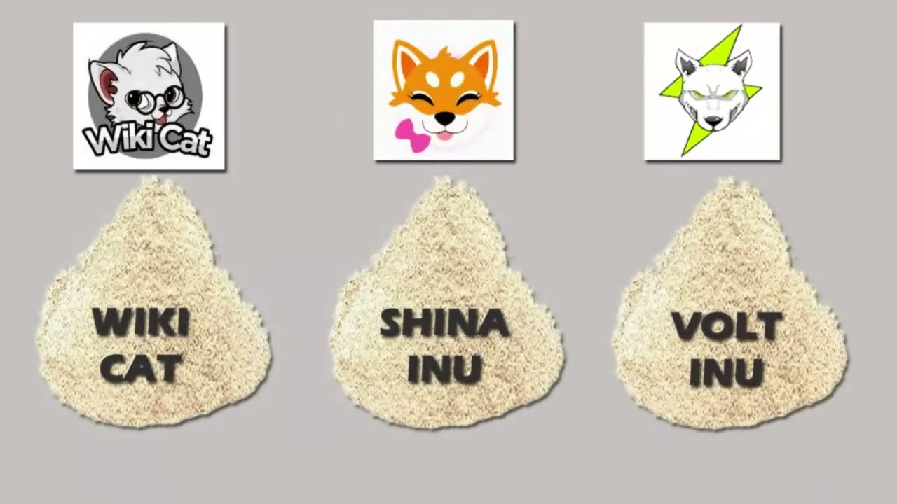 Wiki cat / Shina Inu / Volt Inu / Dream / Prophecy and kingdom wealth transfer