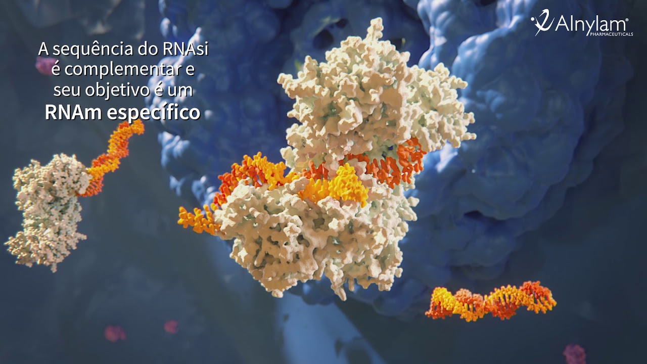 Alnylam Pharmaceuticals - RNAi: UMA REVOLUÇÃO NA BIOLOGIA