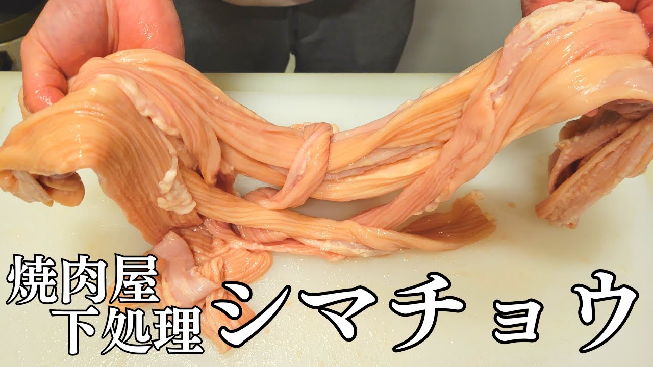 シマチョウの下処理｜焼肉屋の定番ホルモン「シマチョウ」の本格下処理の方法を紹介します！牛の大腸で関西では「てっちゃん」とも呼ばれます。希少部位です。いろいろ使える万能な塩ダレの作り方も紹介します！