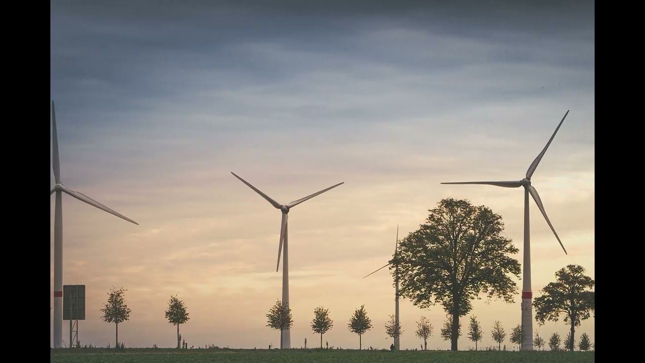 Calm Wind Sounds – Relax, Sleep, Focus | 3 Hours Ambient