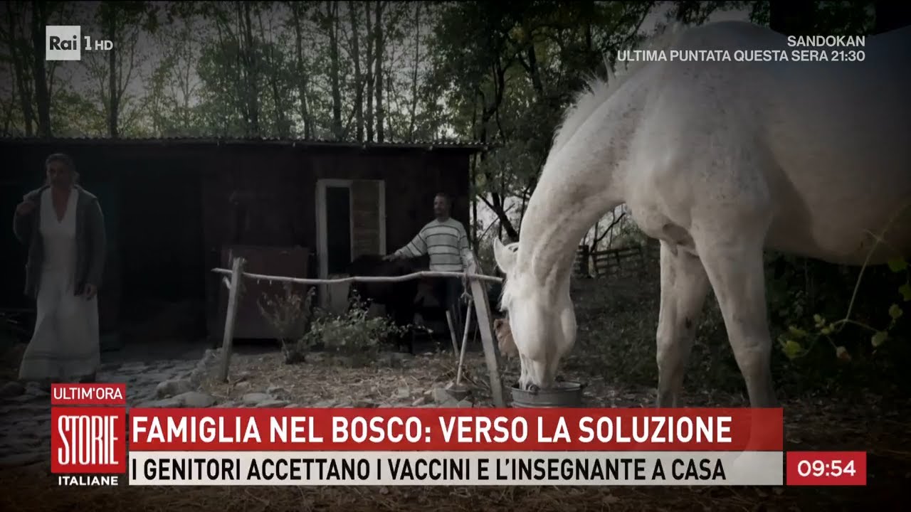 Famiglia nel bosco: la proposta del sindaco sull'istruzione - Storie italiane 16/12/2025