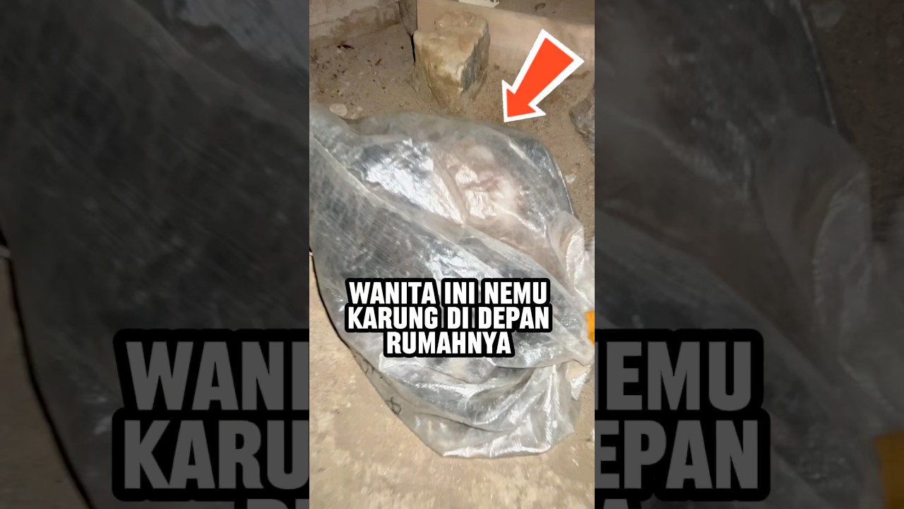 Berapapun akan dibayar demi kucing terlantar