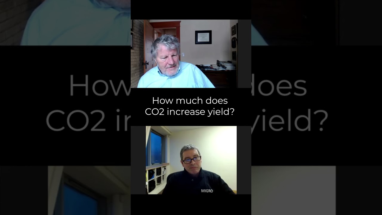 How much does elevated CO2 increase cannabis yield