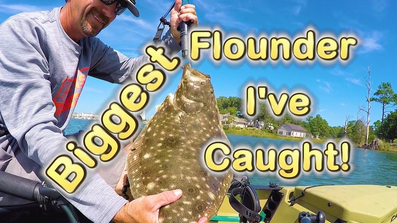 Flounder Fishing Lynnhaven Inlet (Sept 2017)