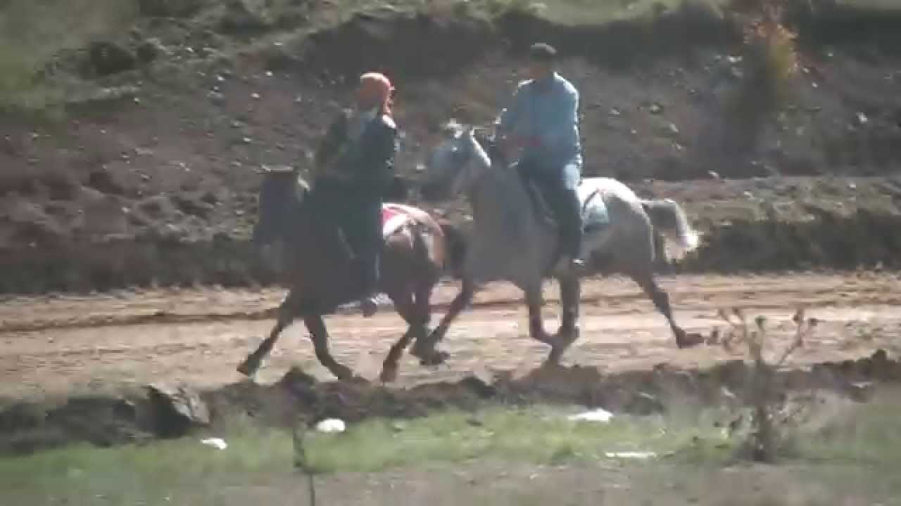 GEREDE RAHVAN AT YARIŞI BAŞALTI