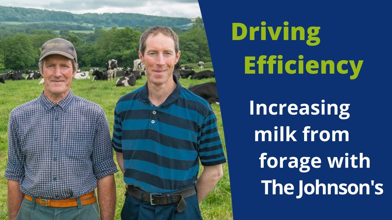 Driving profit on farm by increasing your milk from forage | ForFarmers