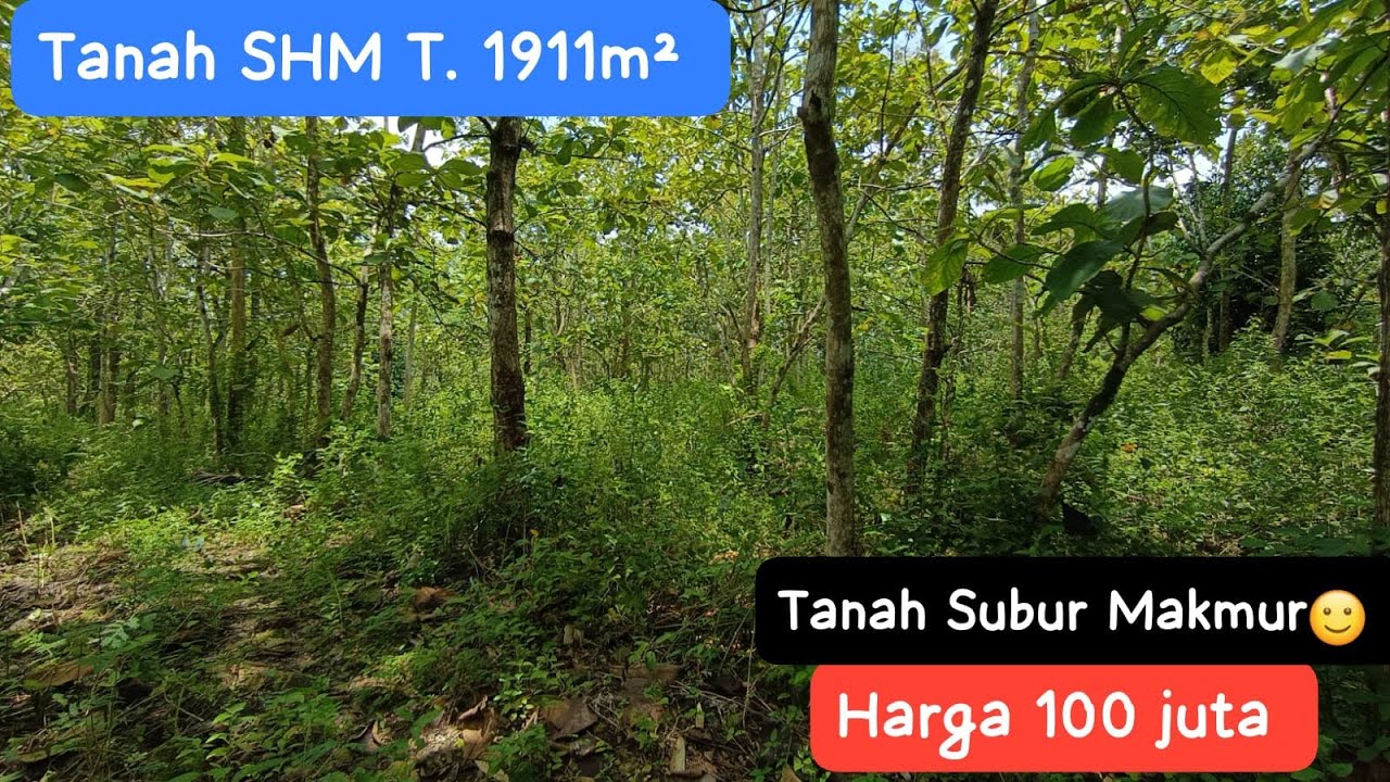 🔴TANAH TEBAL SUBUR HARGA MURAH MERIAH #jualtanah #tanahmurahgunungkidul 