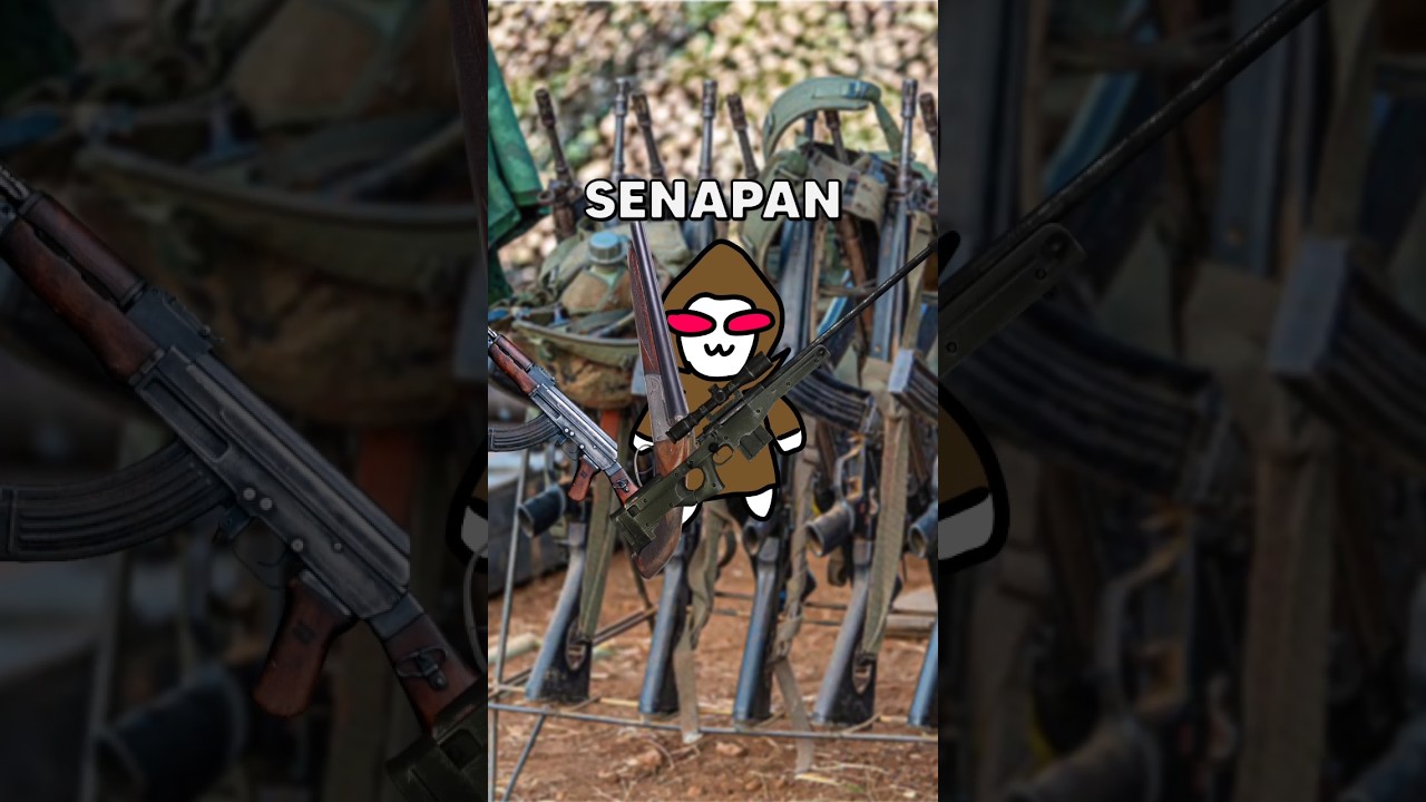 Tier List Senapan