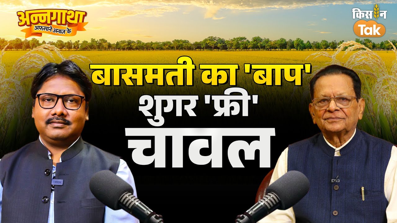 Benefits of Kala Namak Rice: बासमती से क्यों बेहतर है काला नमक चावल? #podcast