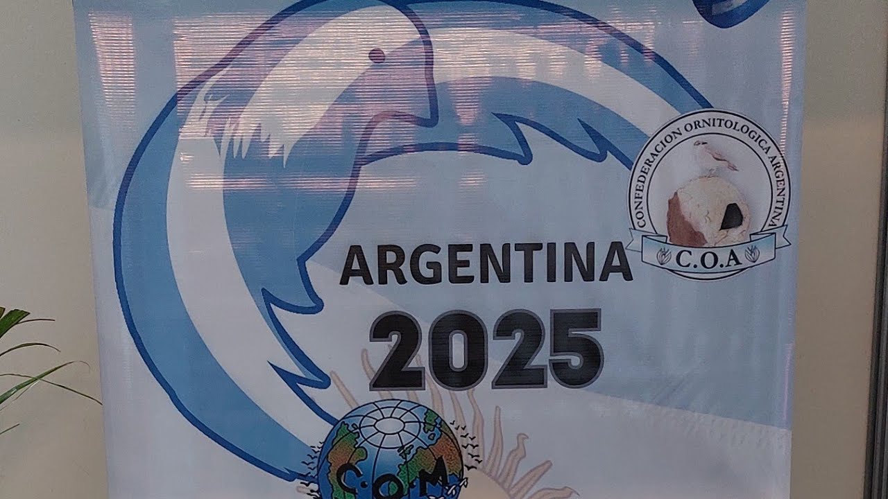 Hablando de aves. Campeonato mundial de Ornitologia HS, Argentina. (4 de agosto de 2025).