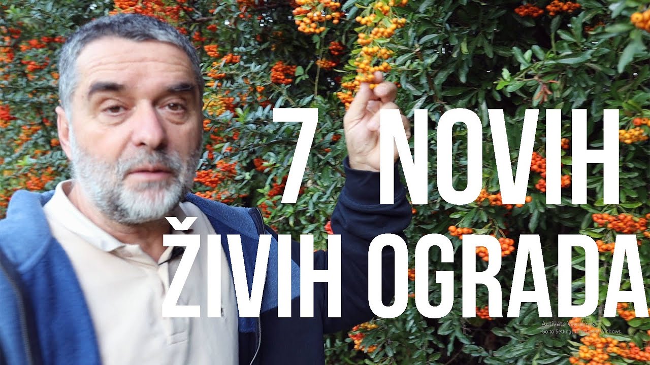 7 novih živih ograda