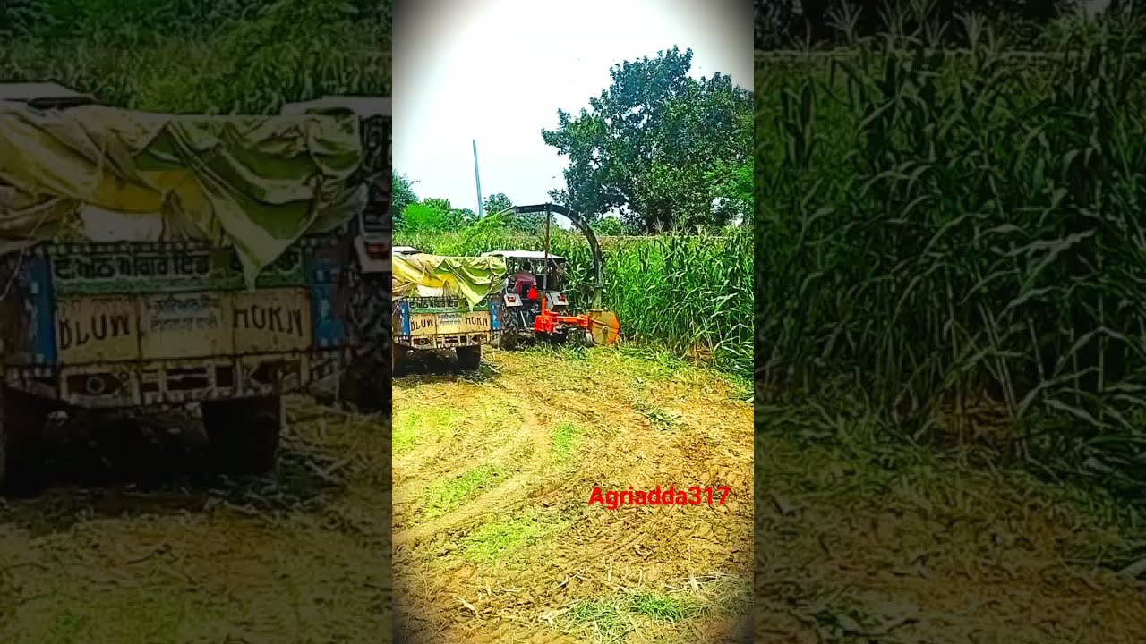 Ultimate Green Fodder Solution:Tractor Chaff Cutter Unveiled