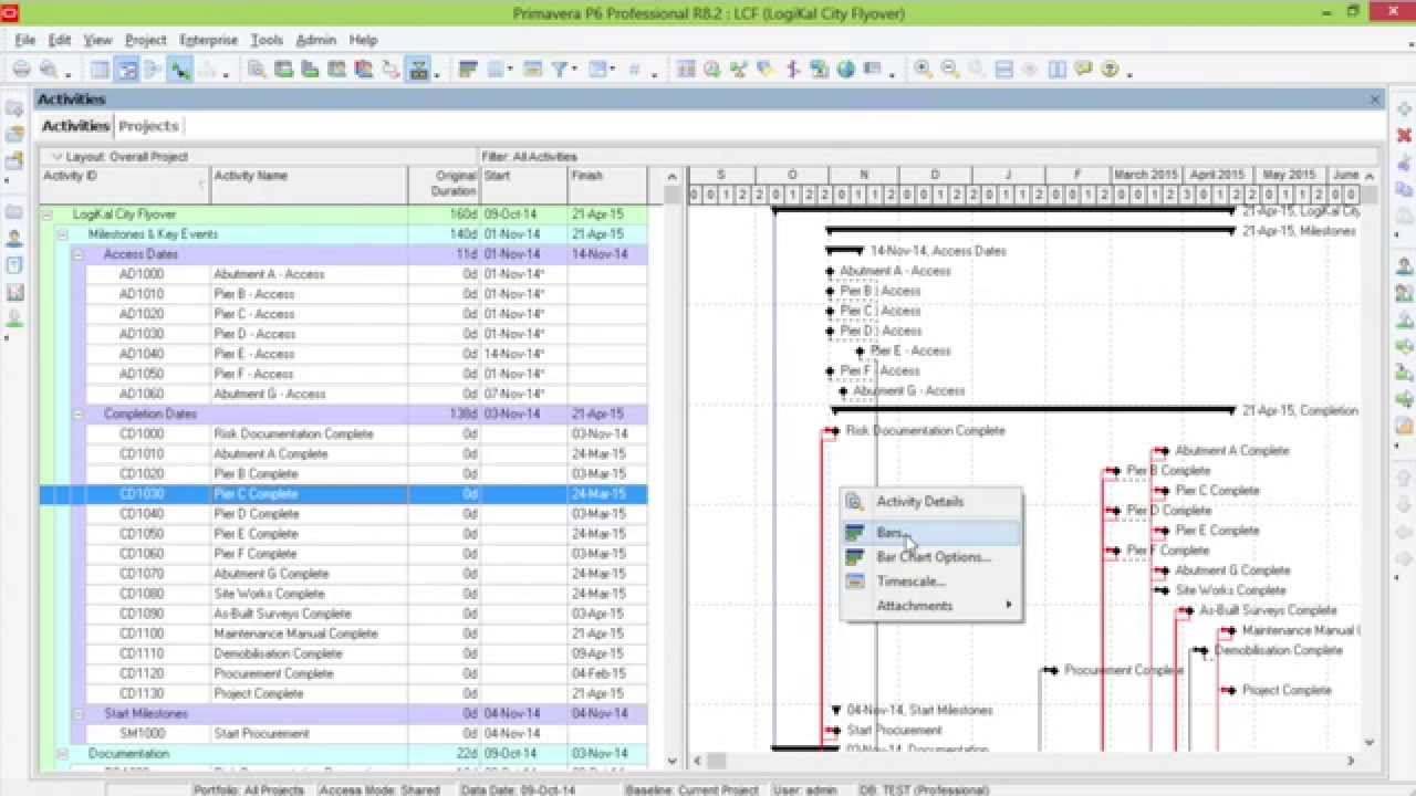 Modifying the Gantt Chart in P6 - Red Critical Milestones
