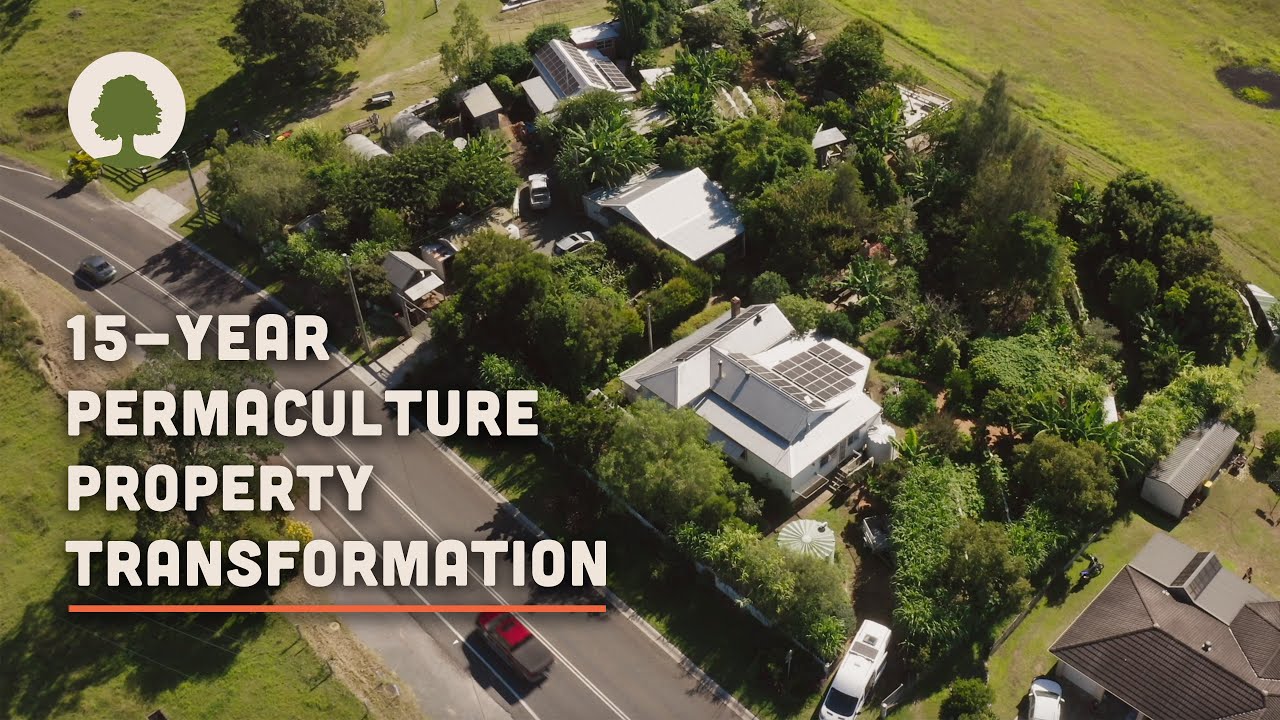 Участок площадью 1 акр превратился в процветающую пермакультурную ферму! – Ферма пермакультуры Li...