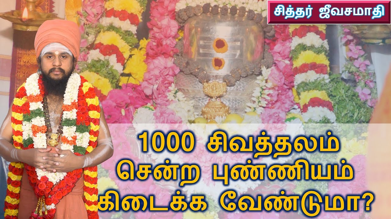 சட்டிசாமி சித்தர் |  1000 சிவத்தலம் சென்ற புண்ணியம் கிடைக்க வேண்டுமா?