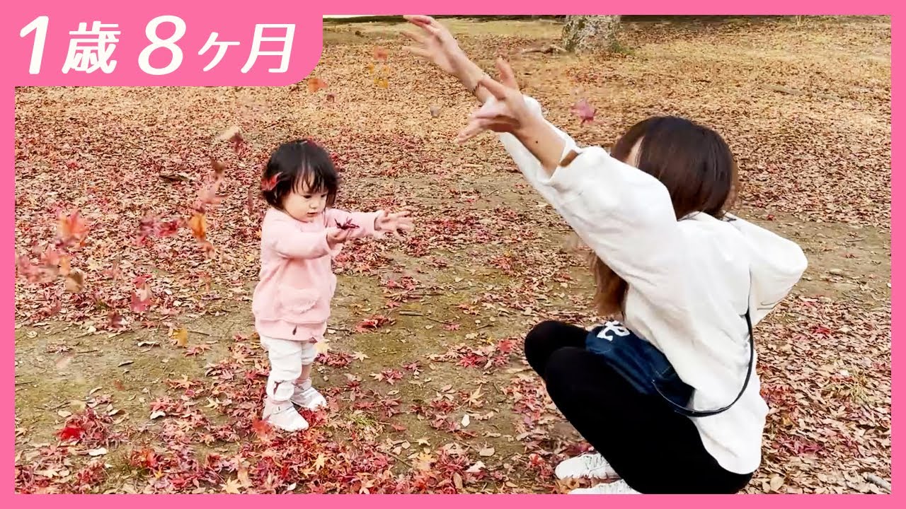 #1歳8ヶ月　どんぐりガール【しずクリップ】