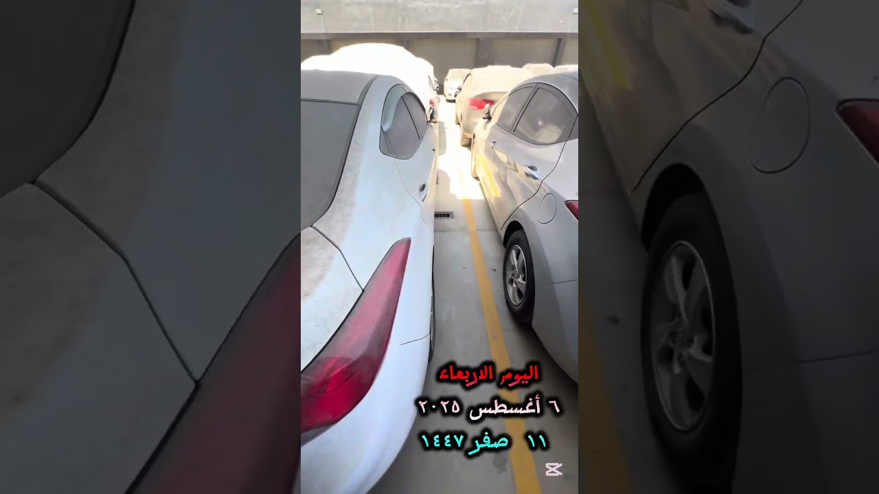 #اكسبلور #معاقين_مصر #فيديو خاص للعربيات المباعة ومفتوح ليها شهادة 46 الجمركية في جمرك بورسعيد 