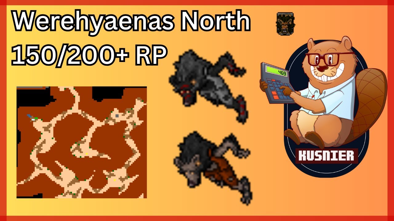 Werehyaenas North | 200+ Paladin | Tibia
