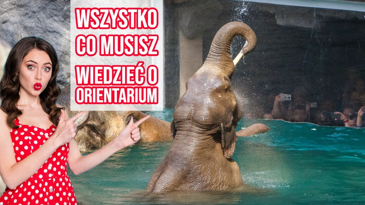 Orientarium w Łodzi - Bilety, Dojazd, Parkingi, Cennik 
