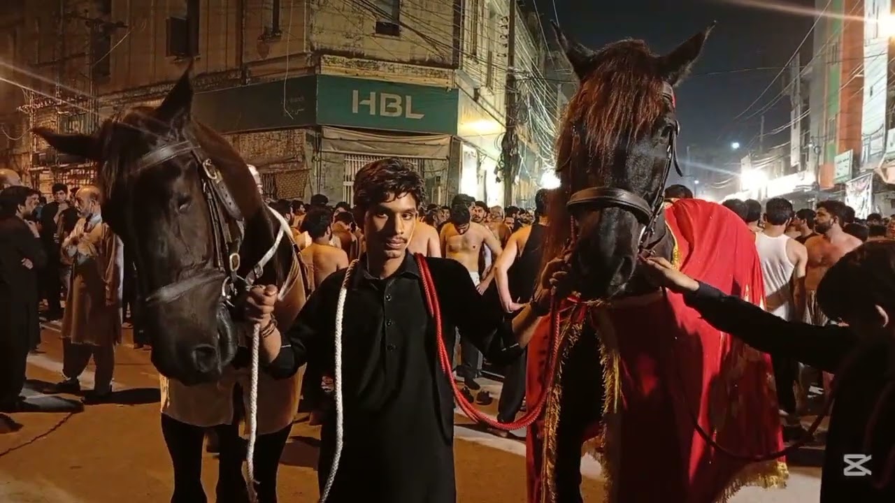 جلوس شہادت مولا علی علیہ السلام