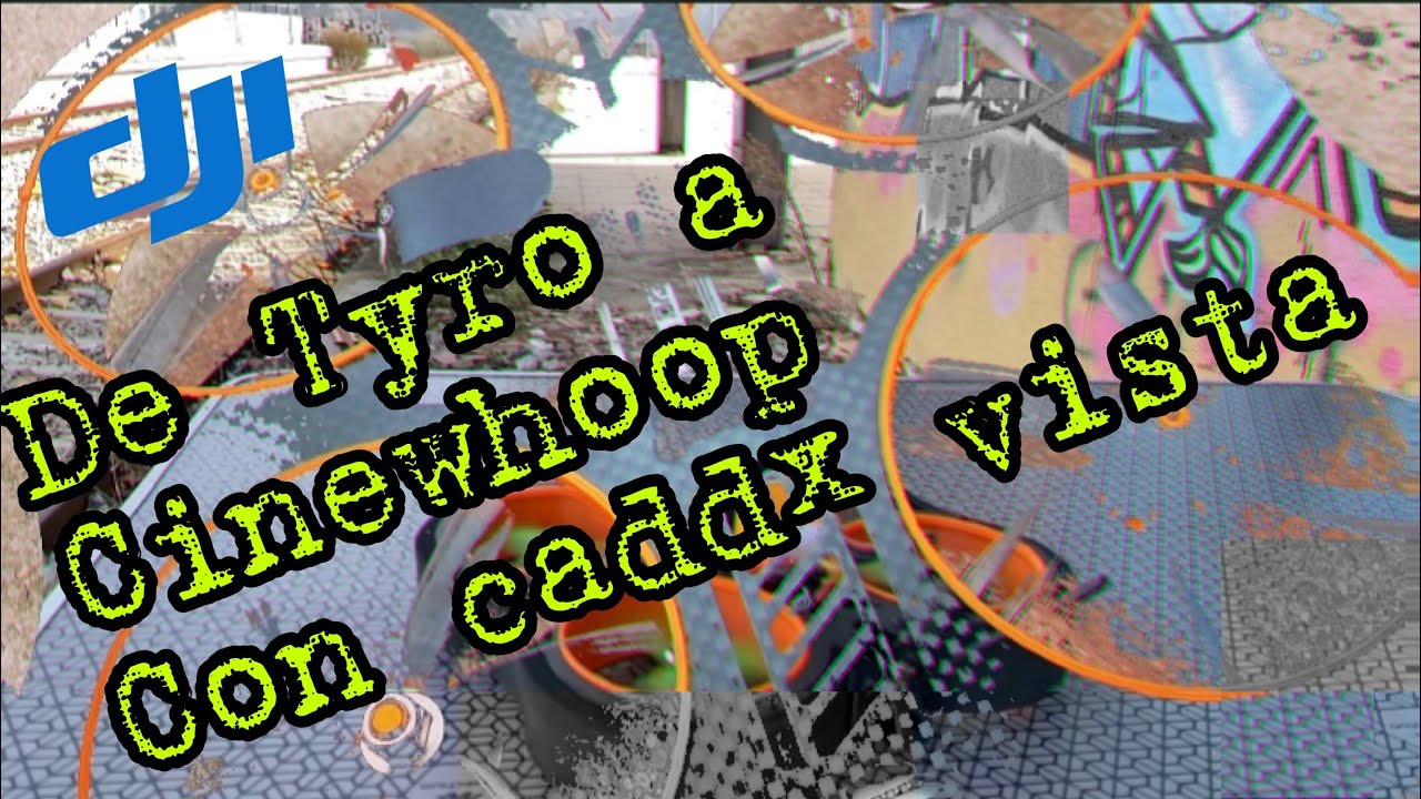 Tyro 79➡️cinewhoop 🔀caddx vista DJI