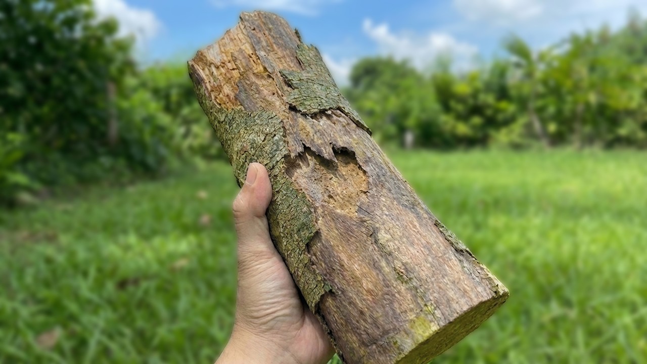 Turning a Rotten Log into a Million-Dollar Tool! Amazing Invention of a 60-Year-Old Carpenter