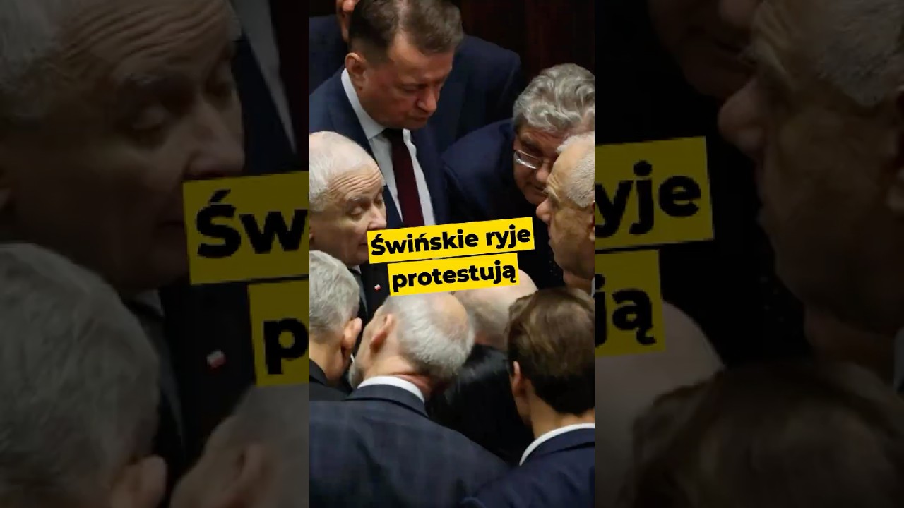 Świńskie ryje protestują: Precz z komuną #KatoPatoKomuna #komunizm #kaczyński #pis