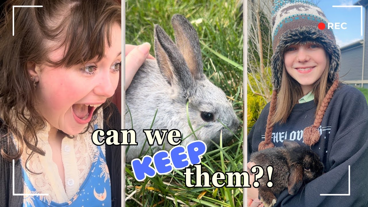 We surprised the kids with Baby Bunnies for Easter!
